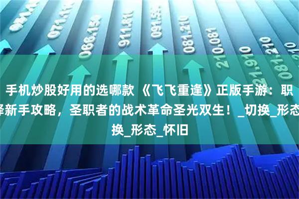 手机炒股好用的选哪款 《飞飞重逢》正版手游：职业选择新手攻略，圣职者的战术革命圣光双生！_切换_形态_怀旧